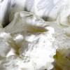 maritozzi con la panna
