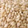 Bimby Orzo