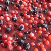 Semifreddo Frutti di Bosco Bimby